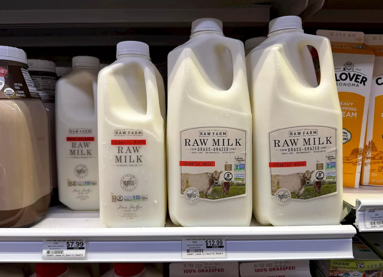 Concerns Grow Over Bird Flu Risks From Raw Milk