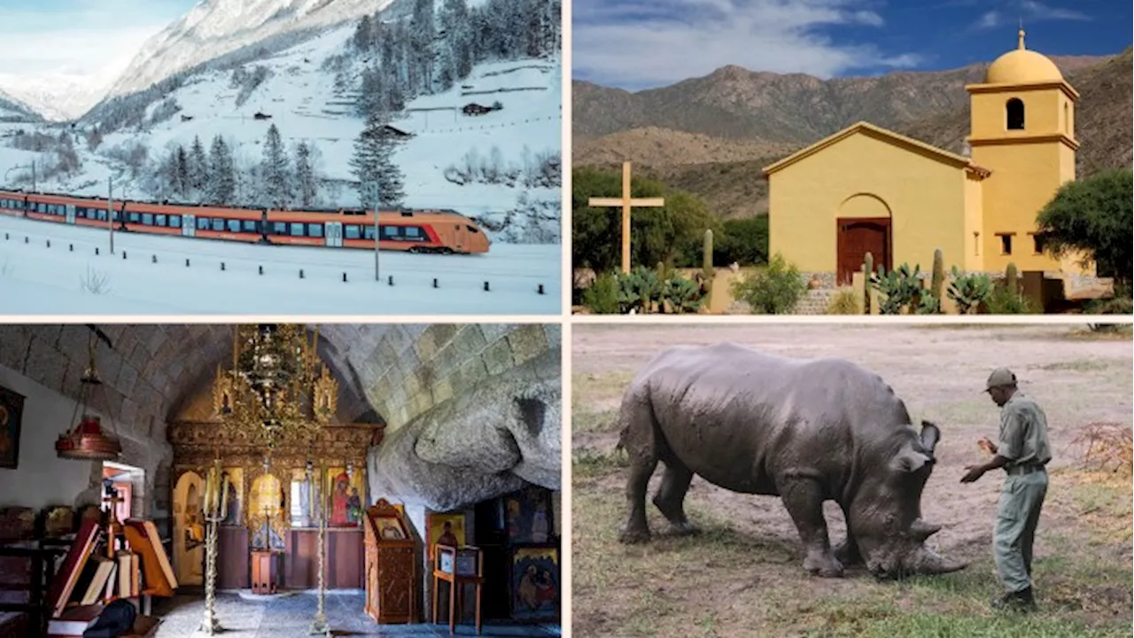 From vineyards in the Andes to rhinos in Zimbabwe: travel writers’ discoveries of 2024