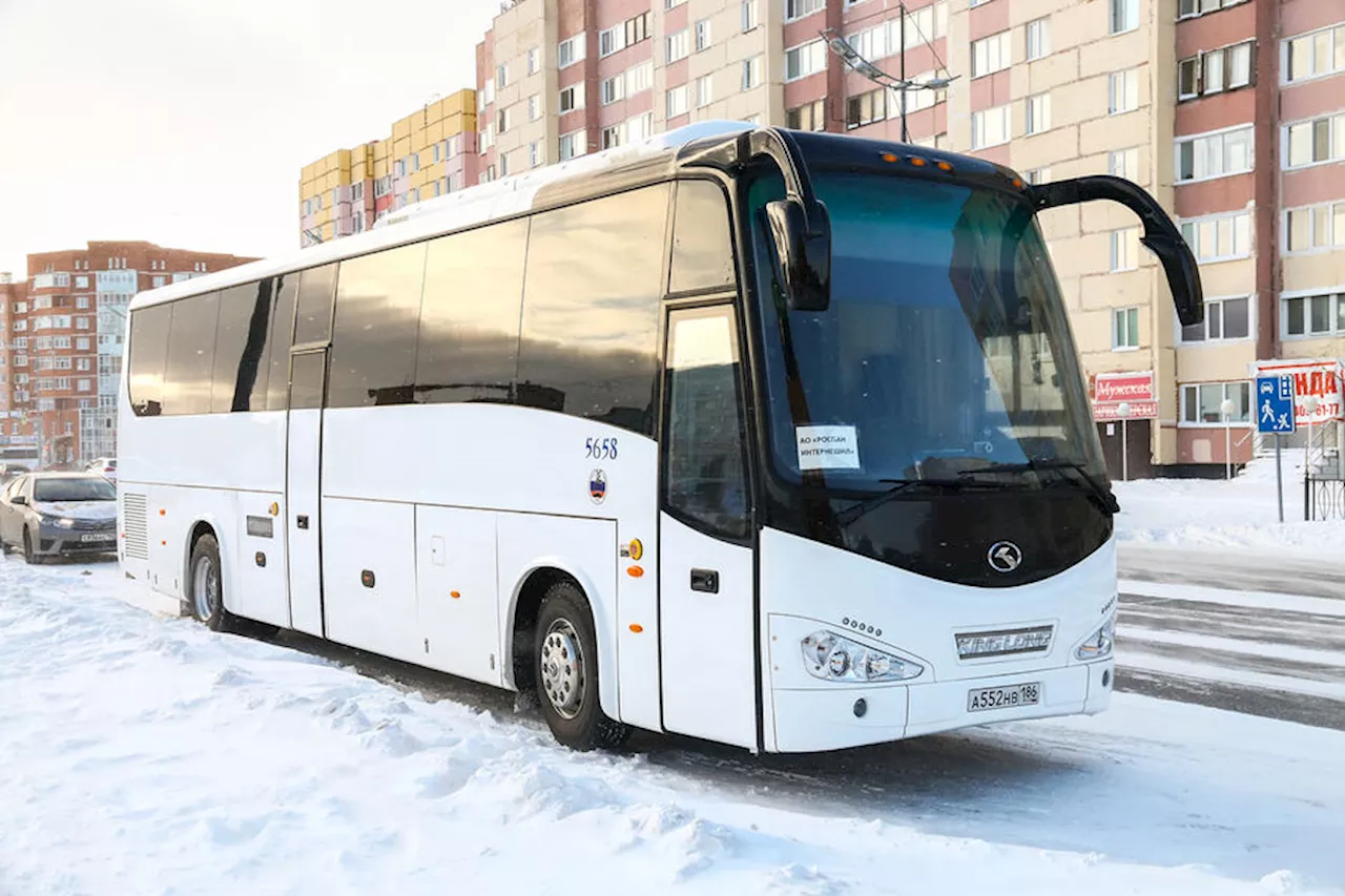 Водитель автобуса высадил ребенка без билета в Подмосковье