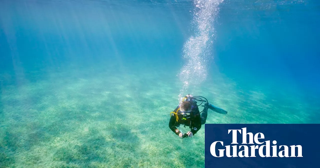 British music producer’s Byron Bay scuba diving death ‘could have been avoided’, father tells court