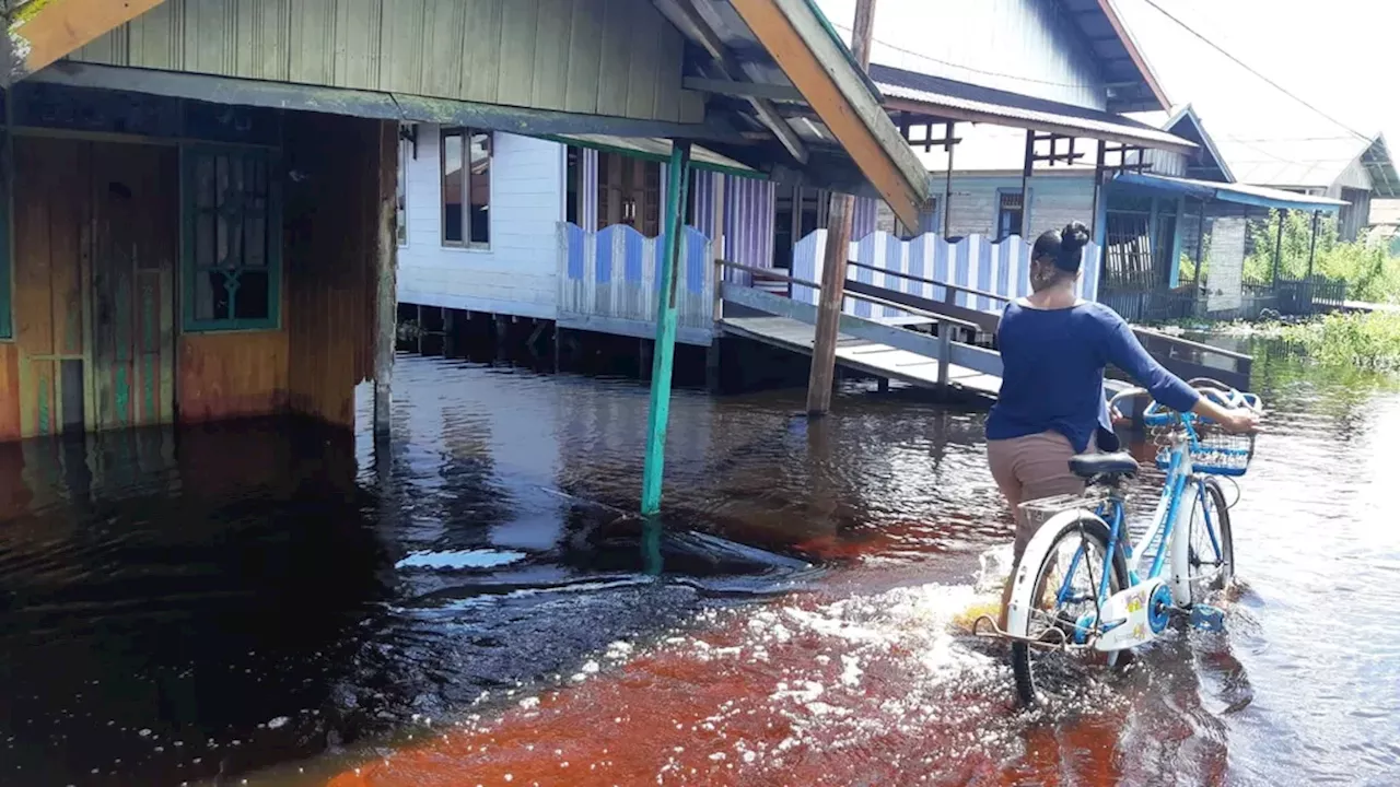 Warga Lima Kota dan Kabupaten di Kalteng Direndam Banjir Setidaknya dalam Dua Minggu Terakhir