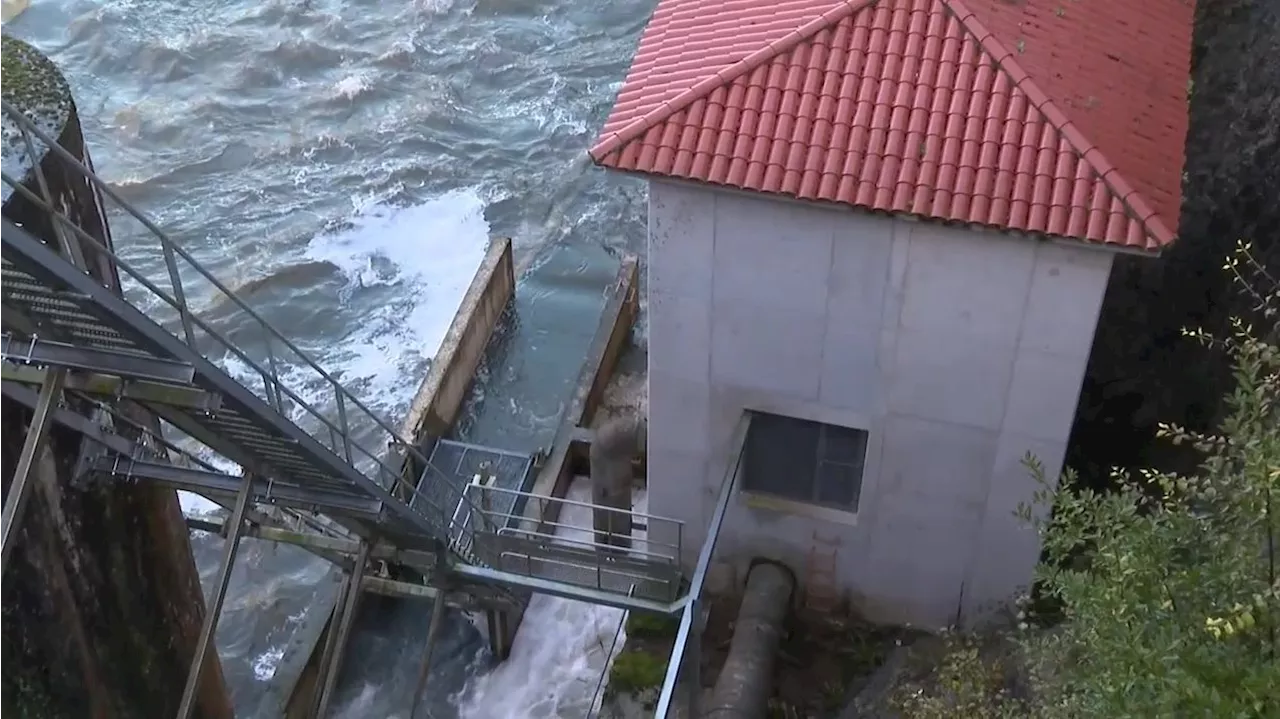 Ascensores para salmones, el ingenio para salvar esta especie en Cantabria