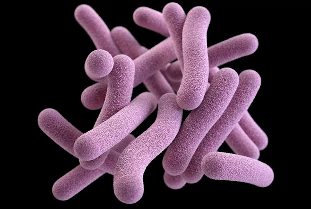 ‘Mirror bacteria’ could cause lethal infections, put all life in danger: Scientists