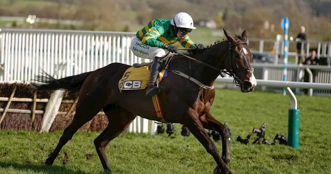 'Future Gold Cup horse' to make chasing debut for Willie Mullins at Fairyhouse