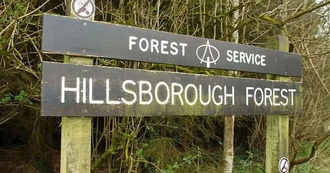 Popular forest park sealed off after body found as investigation launched