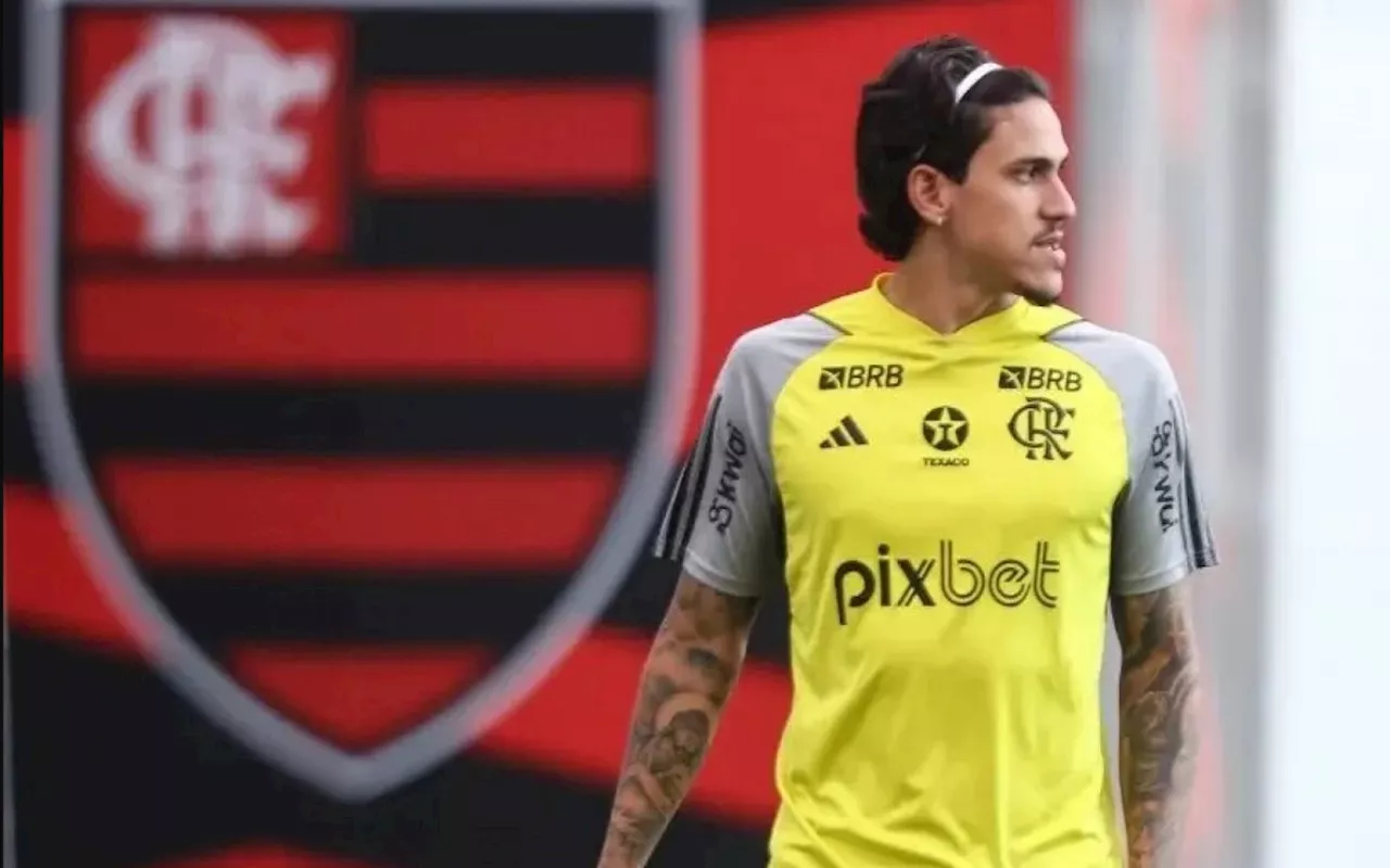 Pedro cumpre metas em recuperação no Flamengo e entra de férias