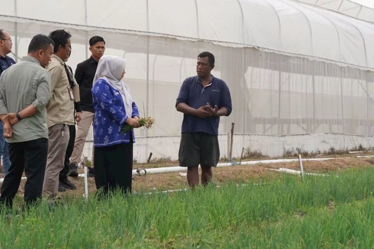 Petani Bawang di Palu Dimotivasi Untuk Lebih Produktif