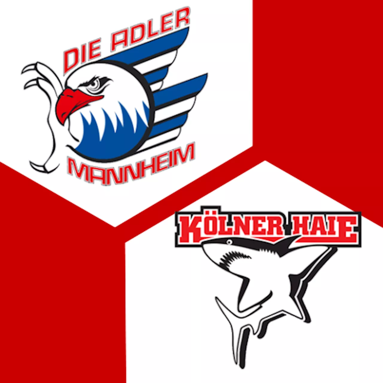 Kölner Haie 0:0 | 25. Spieltag | Deutsche Eishockey-Liga 2024/25