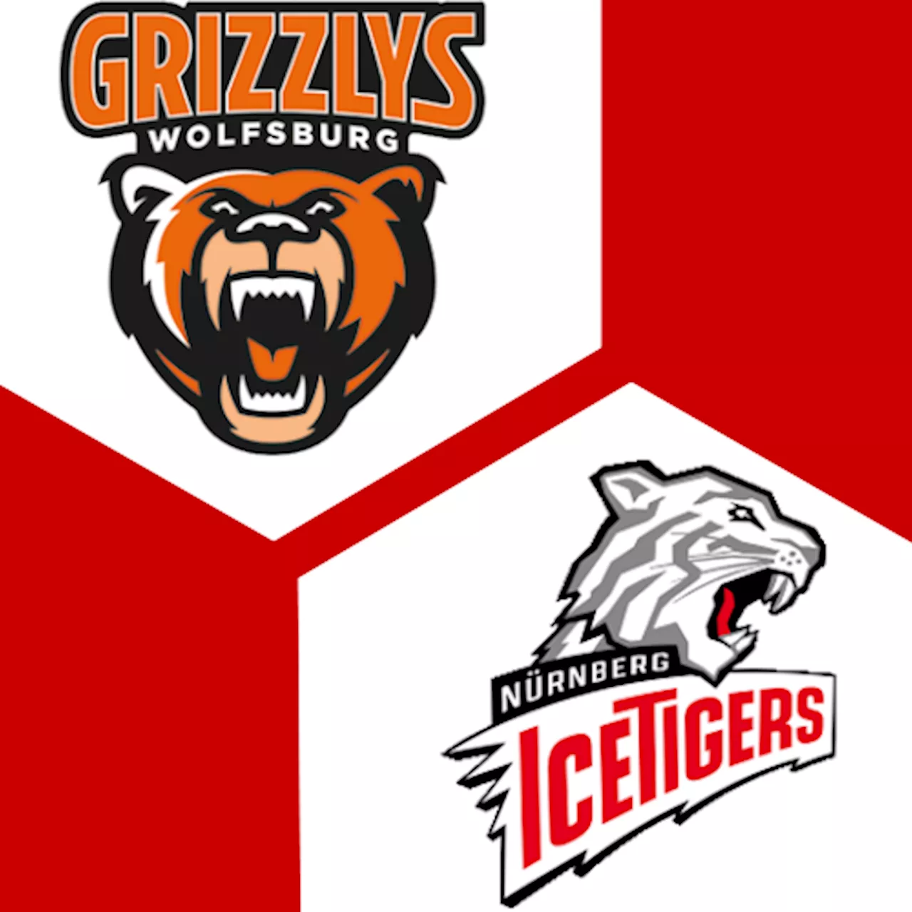 Nürnberg Ice Tigers 4:3 | 25. Spieltag | Deutsche Eishockey-Liga 2024/25