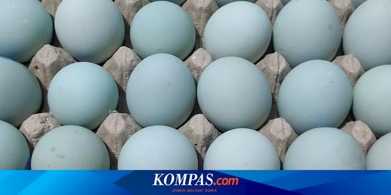 Cara Menyimpan Telur Asin agar Tahan Lama