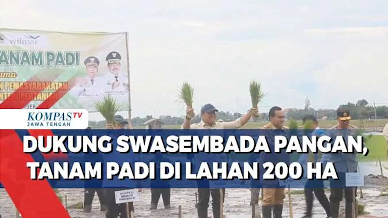 Dukung Swasembada Pangan, Tanam Padi di Lahan 200 Ha