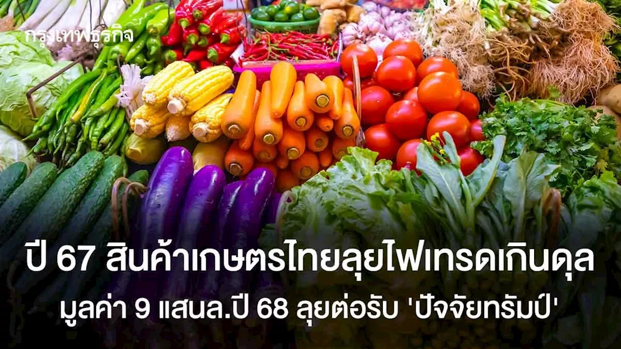 ปี67สินค้าเกษตรไทยลุยไฟเทรดเกินดุล 9 แสนล.ปี68ลุยต่อรับ“ปัจจัยทรัมป์”