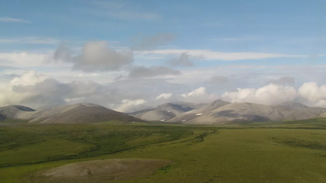 Arctic tundra now emitting more carbon gases than it absorbs, annual report says