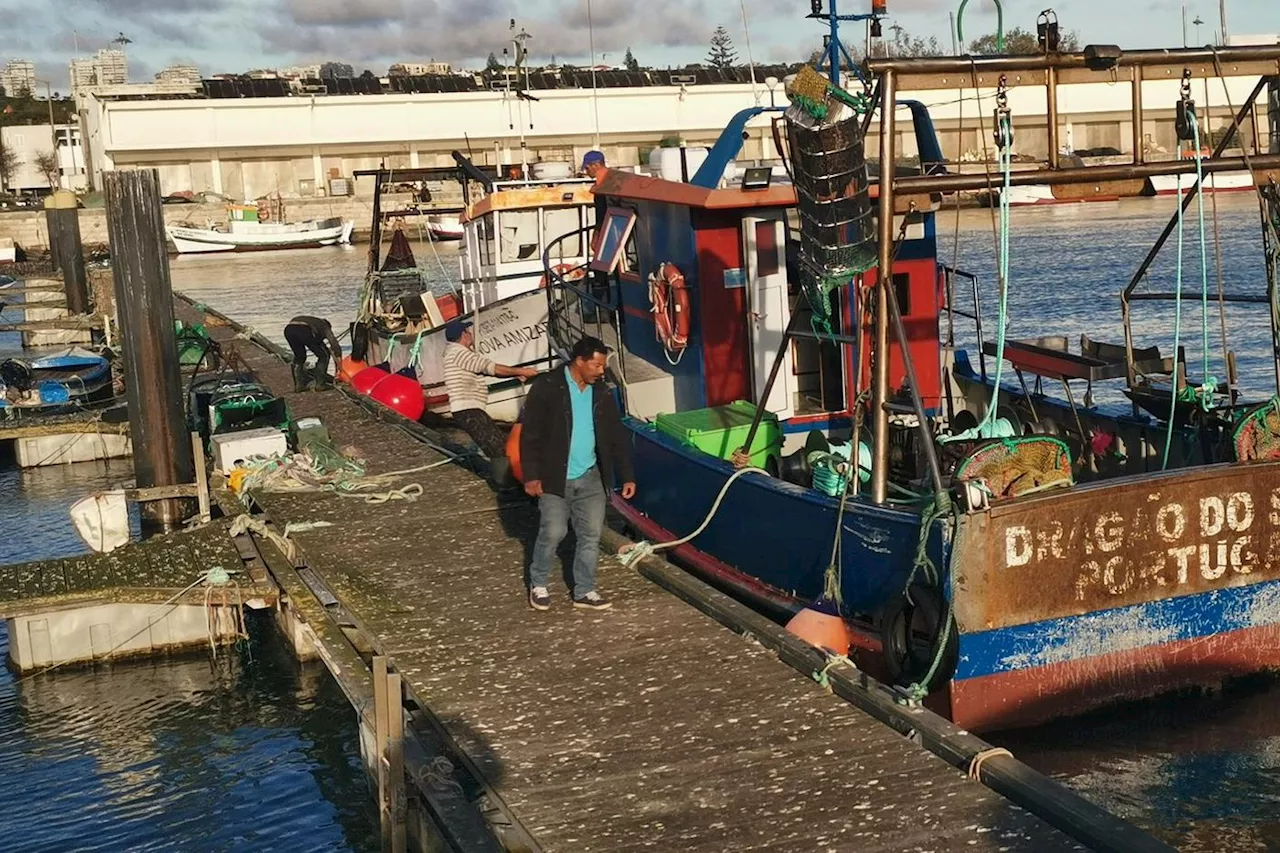 « Qu’allons-nous devenir ? » : la révolte des derniers pêcheurs de Lisbonne