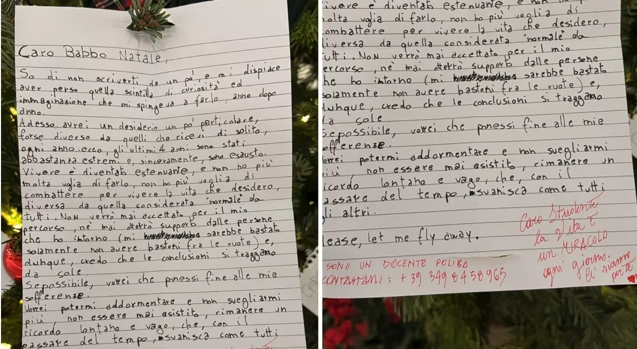 Lettera anonima sull'albero: «Caro Babbo Natale vorrei addormentarmi e non svegliarmi più». L'appello della pr