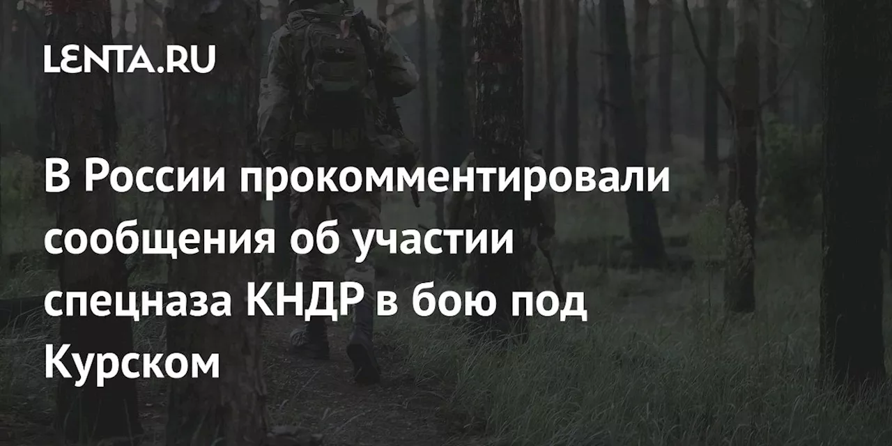 В России прокомментировали сообщения об участии спецназа КНДР в бою под Курском