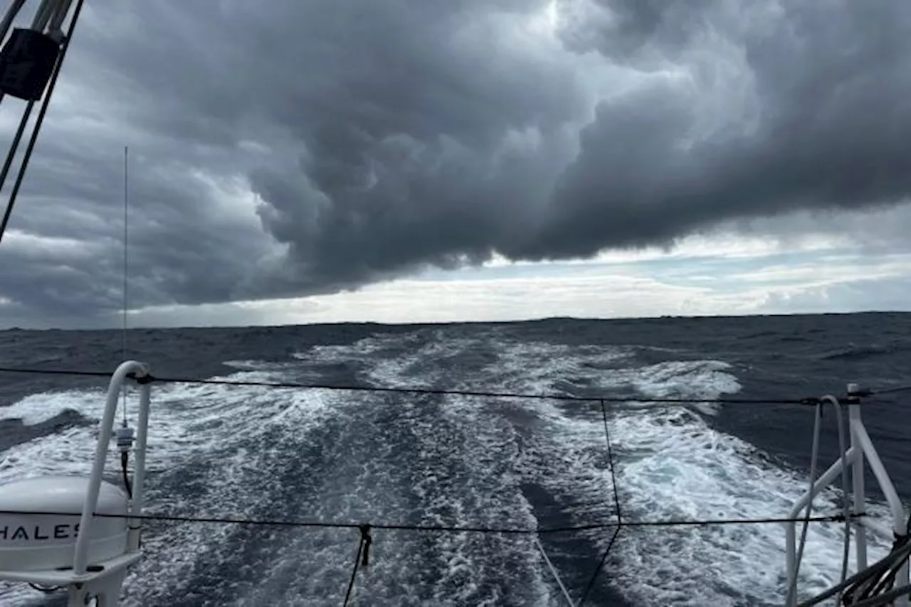 Classement du Vendée Globe 2024: Charlie Dalin, toujours en tête, a franchi la mi-parcours