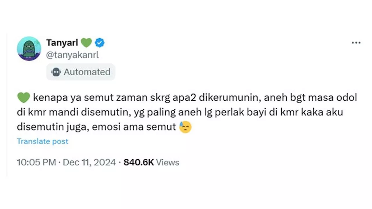 6 Cuitan Netizen tentang Semut di Rumahnya Ini Kocak, Ada-ada Saja yang Dibahas