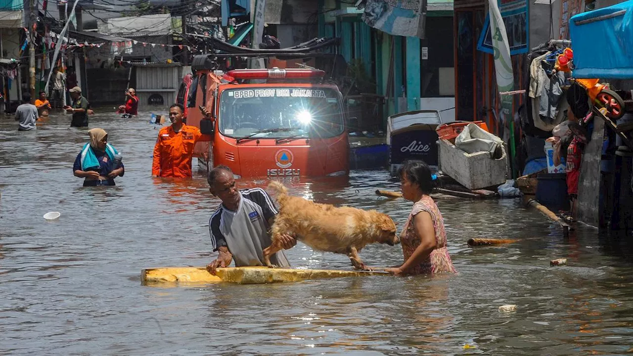 Banjir Rob Rendam 11 RT di Muara Angke Jakut, Warga: Paling Besar dari Kemarin-Kemarin