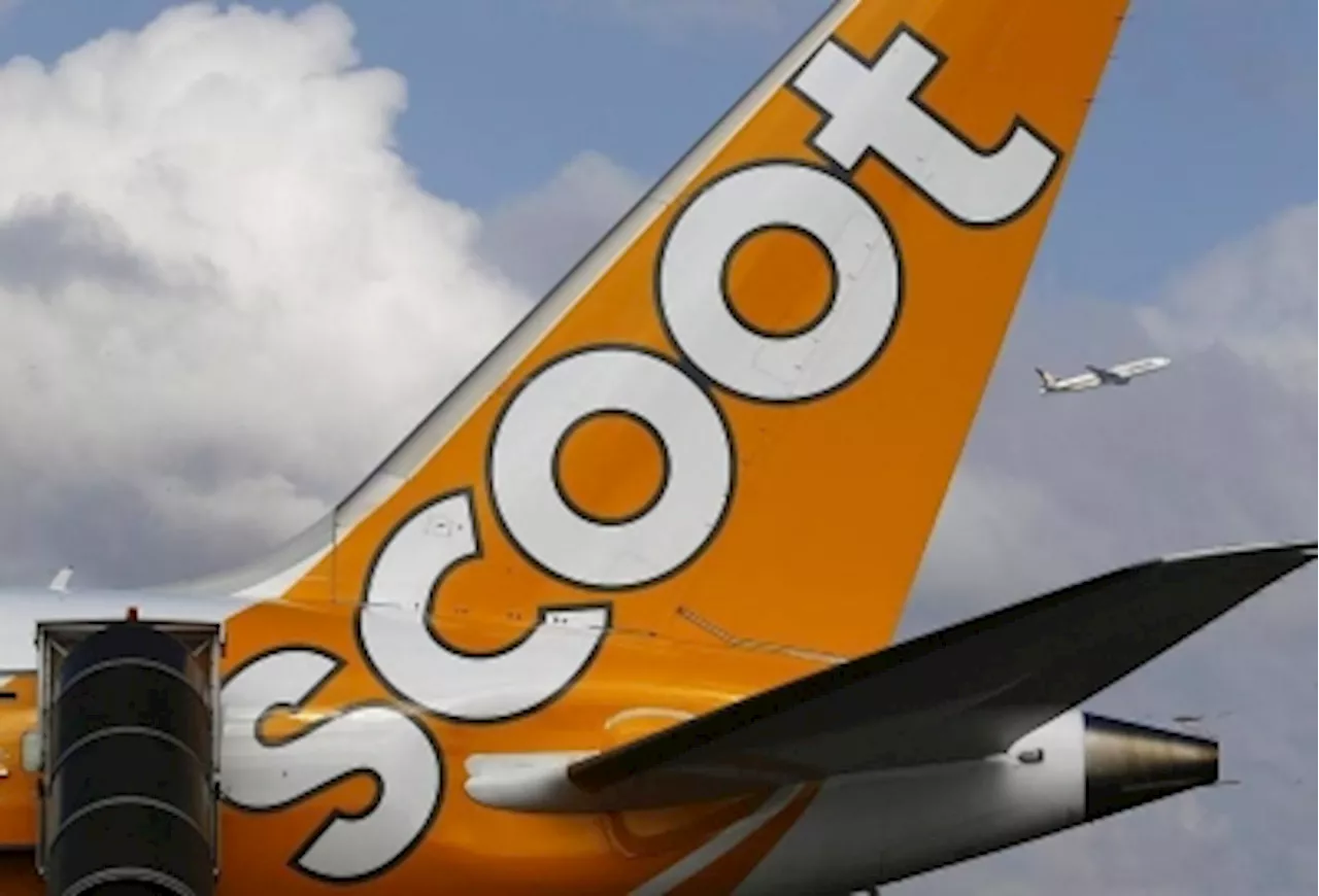 Singapore-Wuhan Scoot flight turns back to Changi Airport over technical issue