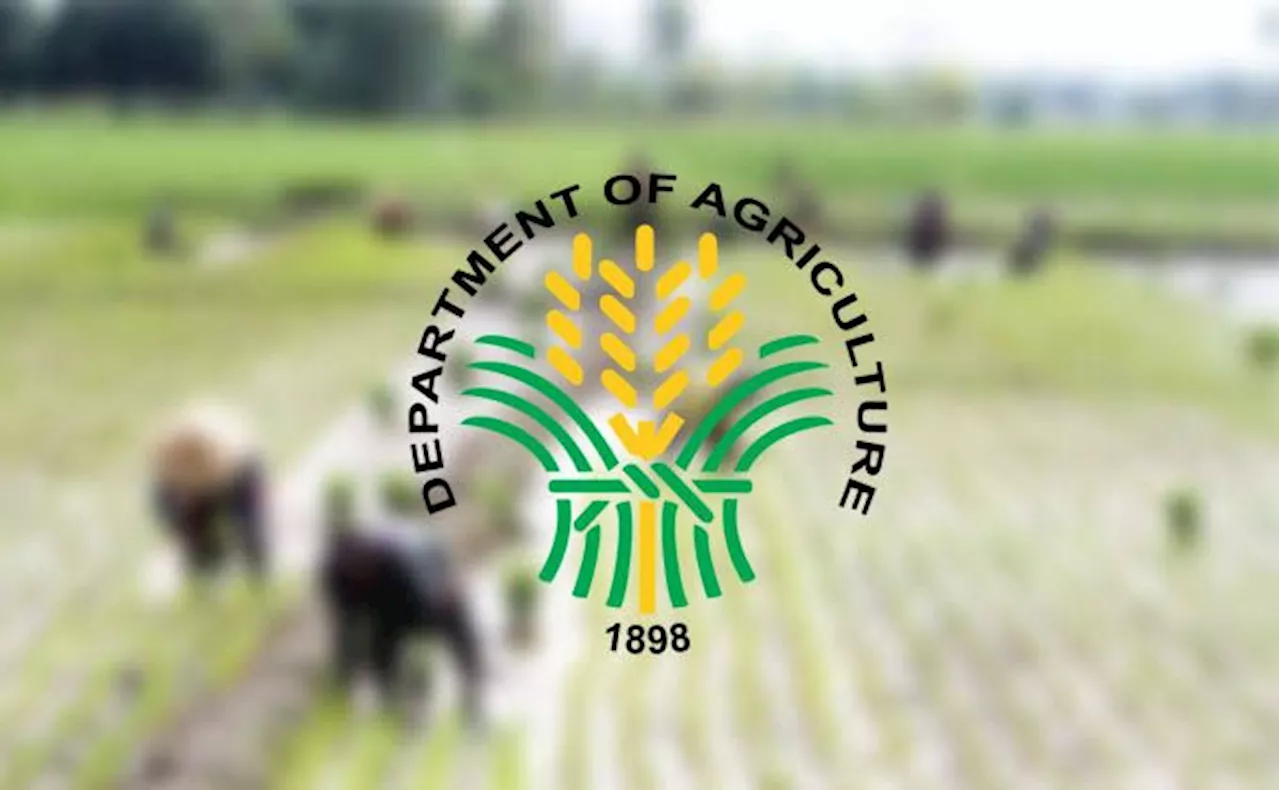 ₱40/kilo rice now available to more markets, train stations, says DA