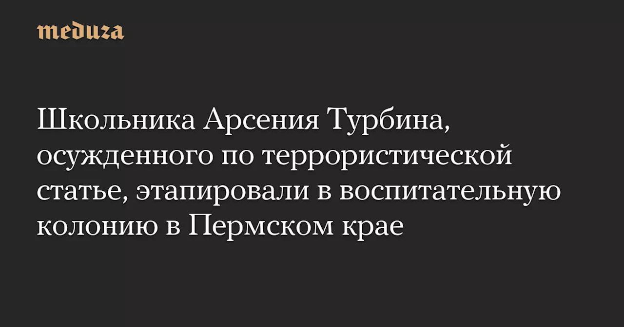 Школьника Арсения Турбина, осужденного по террористической статье, этапировали в воспитательную колонию в Пермском крае