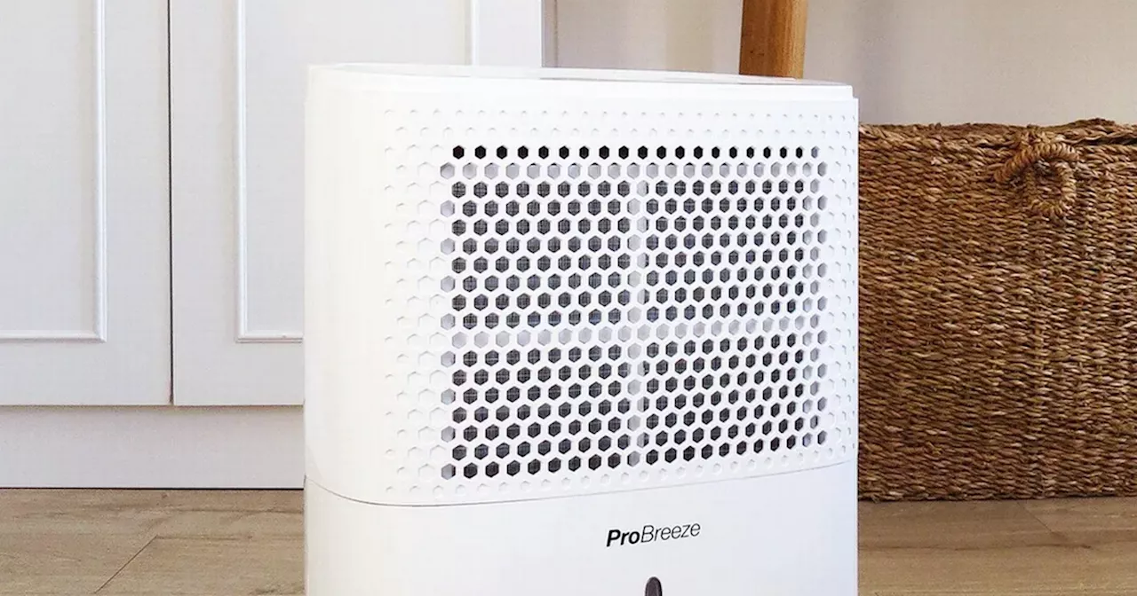 Debenhams' 'powerful' dehumidifier that combats condensation now less than £100