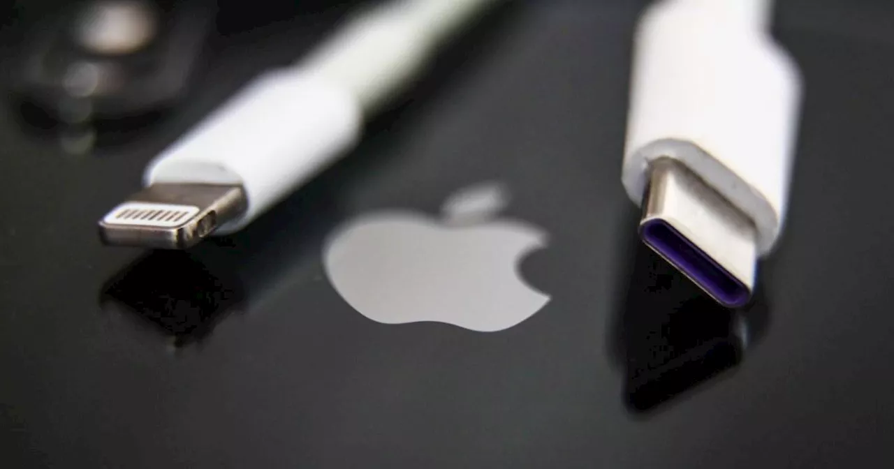 Expert reveals why you should never share iPhone chargers