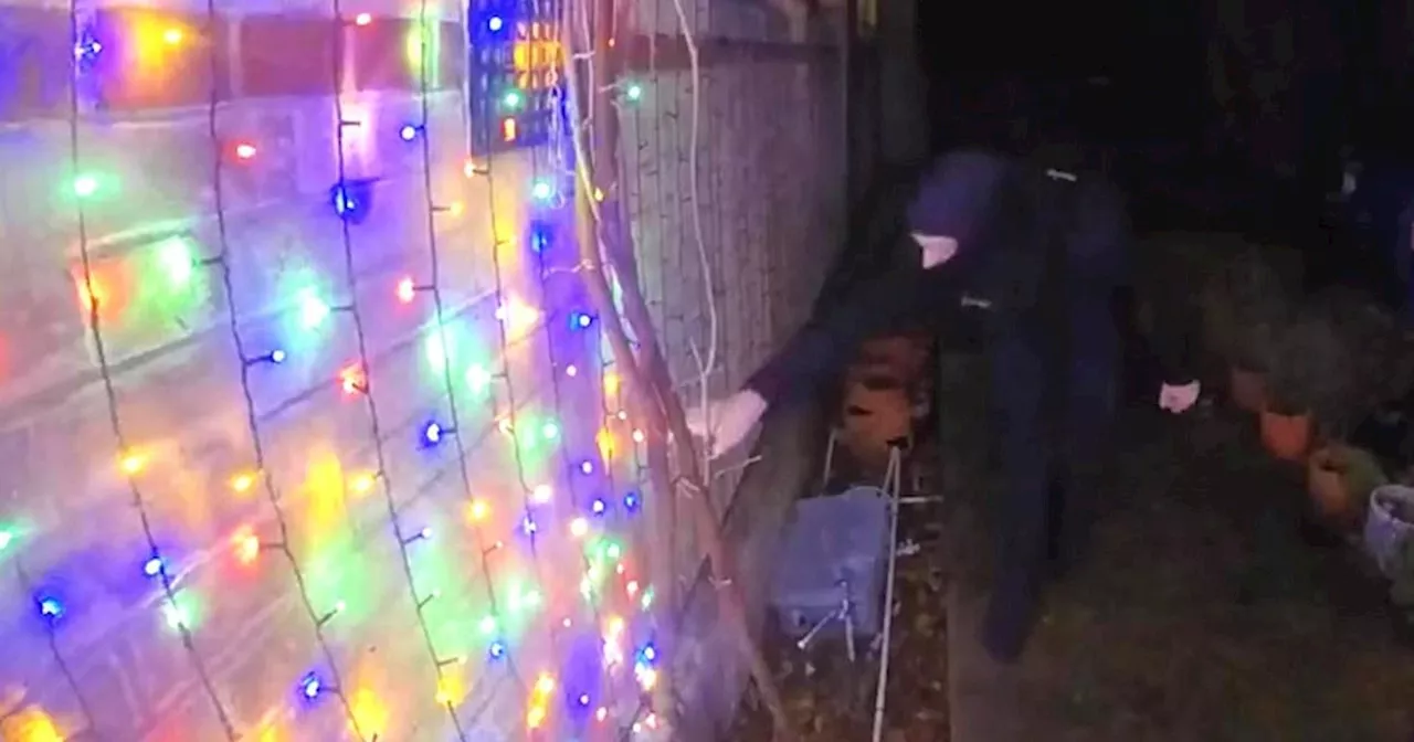 Police hunt for thieves who cut Christmas lights down and 'stabbed' inflatable Santa