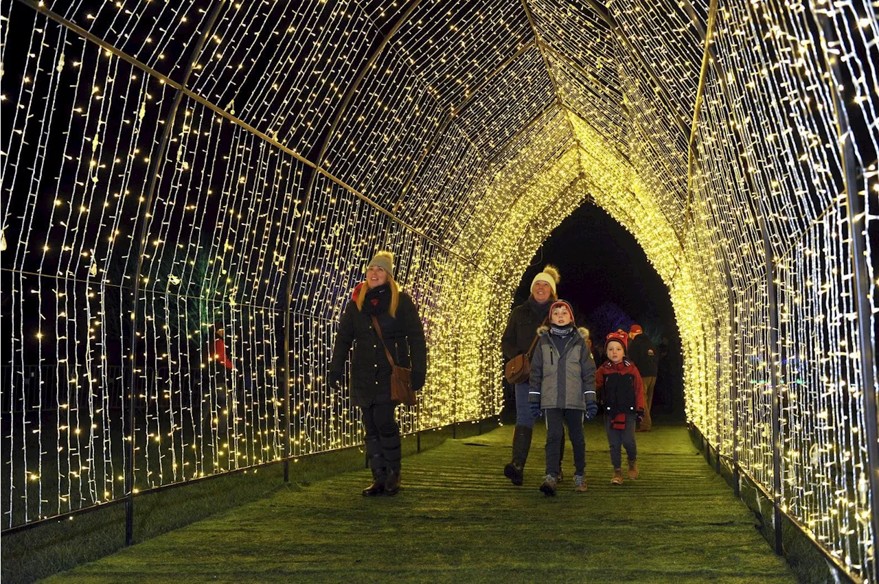 The best UK Christmas light trails for 2024