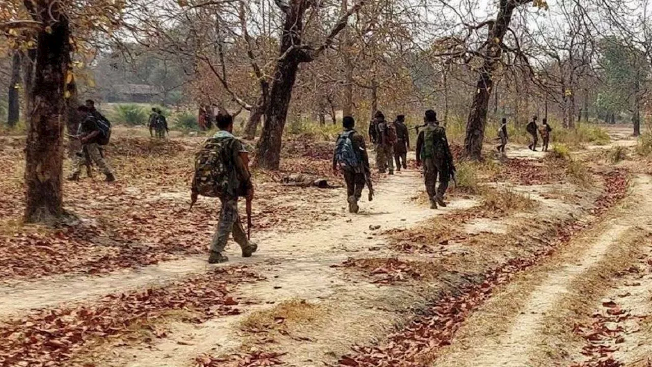 छत्तीसगढ़ के बीजापुर में आज फिर मुठभेड़, सुरक्षा बलों ने दो नक्सलियों को किया ढेर