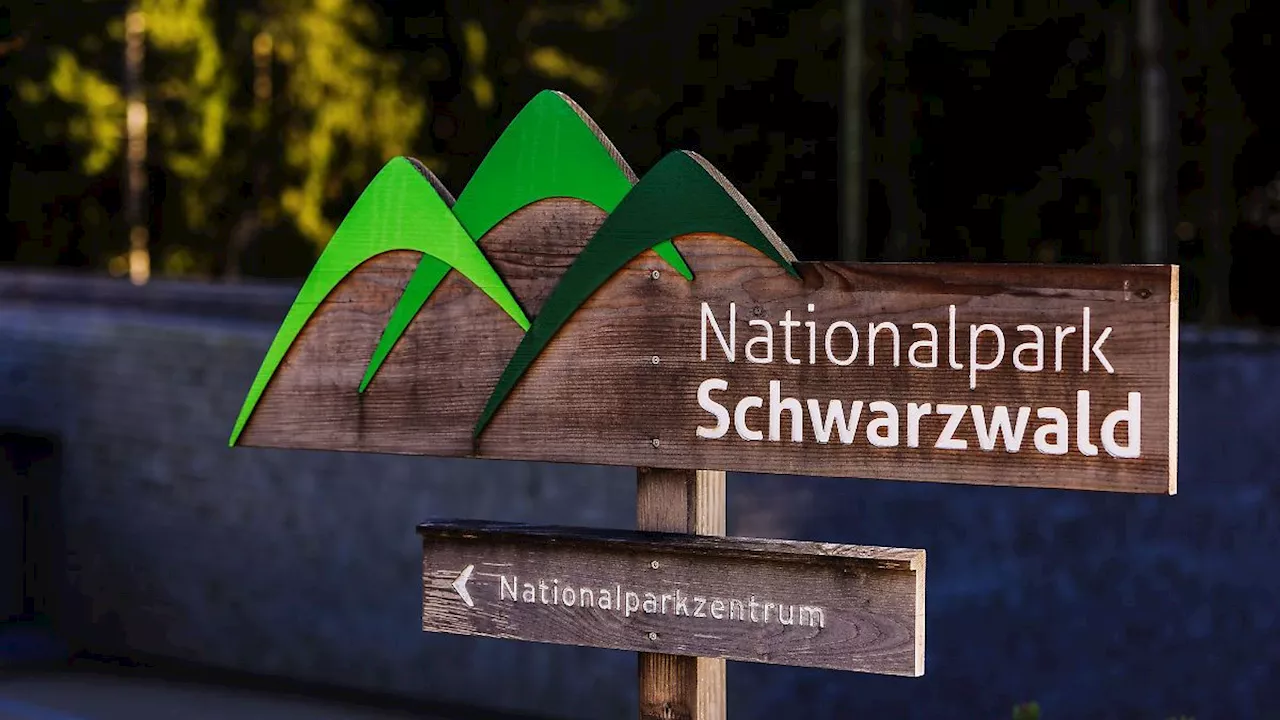 Baden-Württemberg: Ministerin Walker sichert Transparenz bei Nationalpark zu