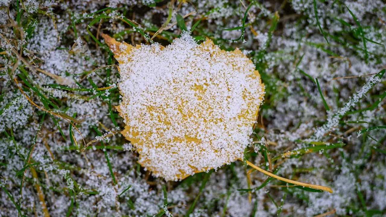 Rheinland-Pfalz & Saarland: Wochenende wird grau und frostig - teils Schnee und Glätte