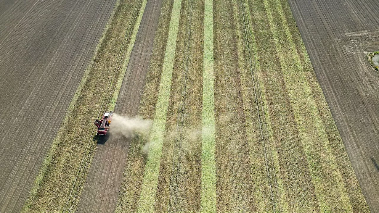 Sachsen: Sachsen zahlt 205 Millionen an landwirtschaftliche Betriebe