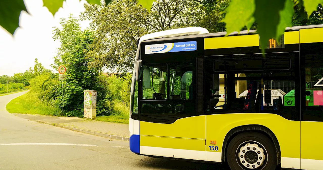 Padersprinter plant neuen Wendeplatz für Busse am Gut Lippesee in Paderborn