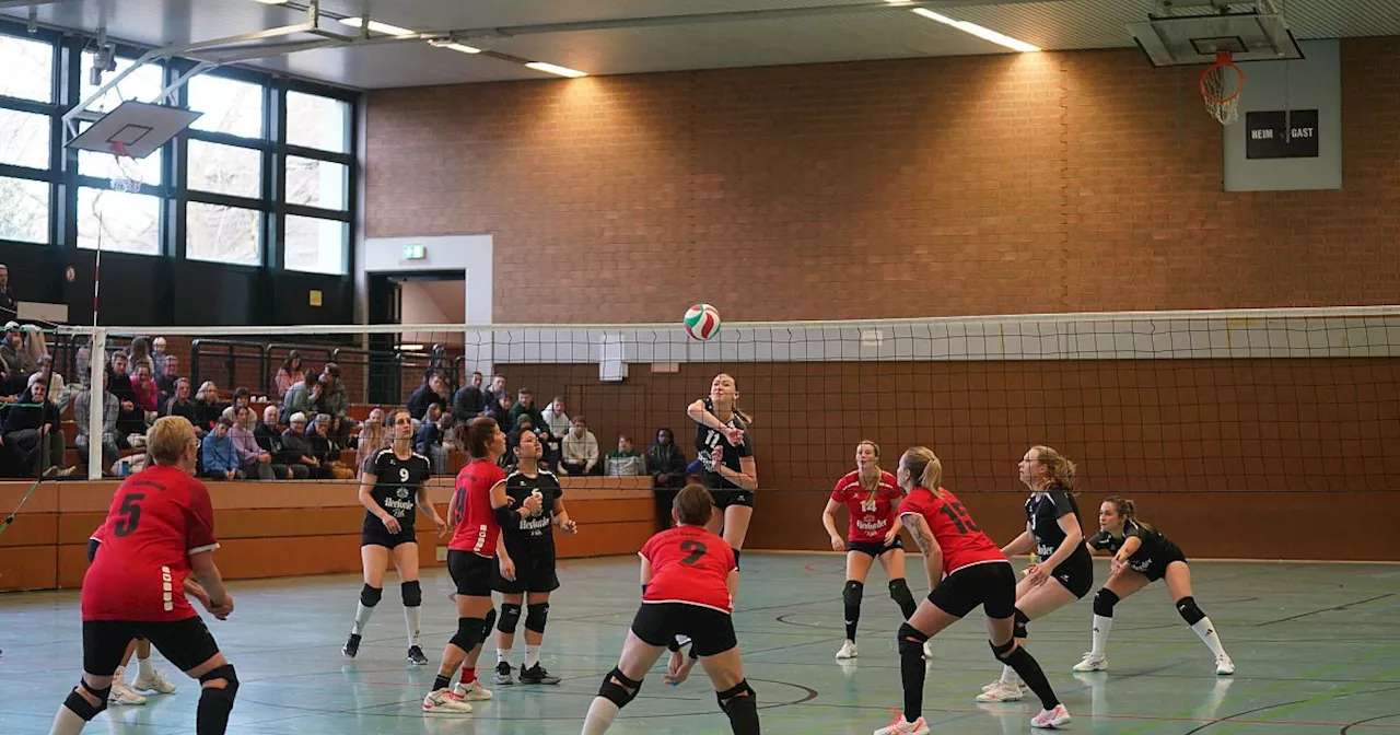 Volleyballfest in Herford: TG Herford veranstaltet Kreispokal-Endrunde