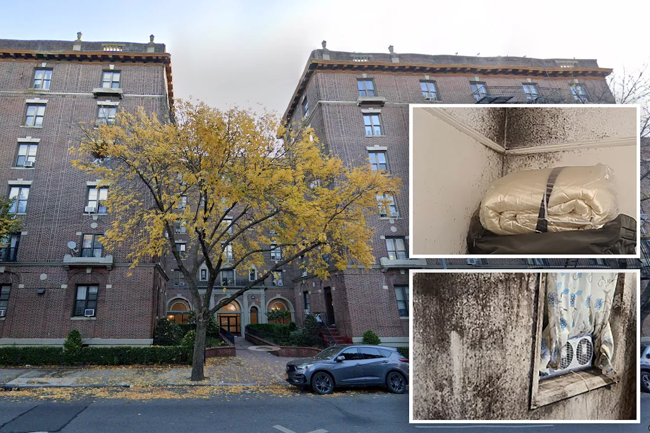 NYC's 'worst landlord' agrees to historic $6.5 million settlement over thousands of violations