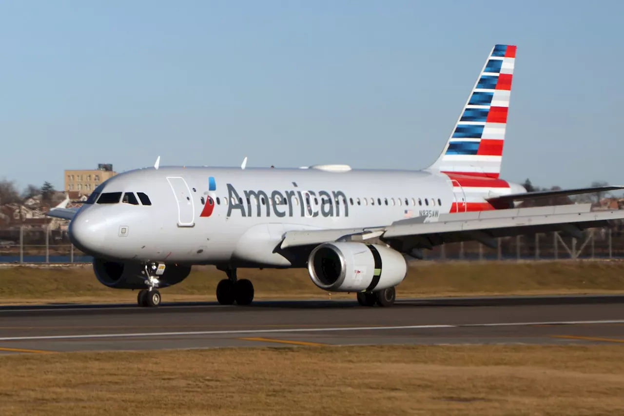 American Airlines Flight Forced into Sudden Landing at JFK After 'Reported Bird Strike' on Engine: WATCH