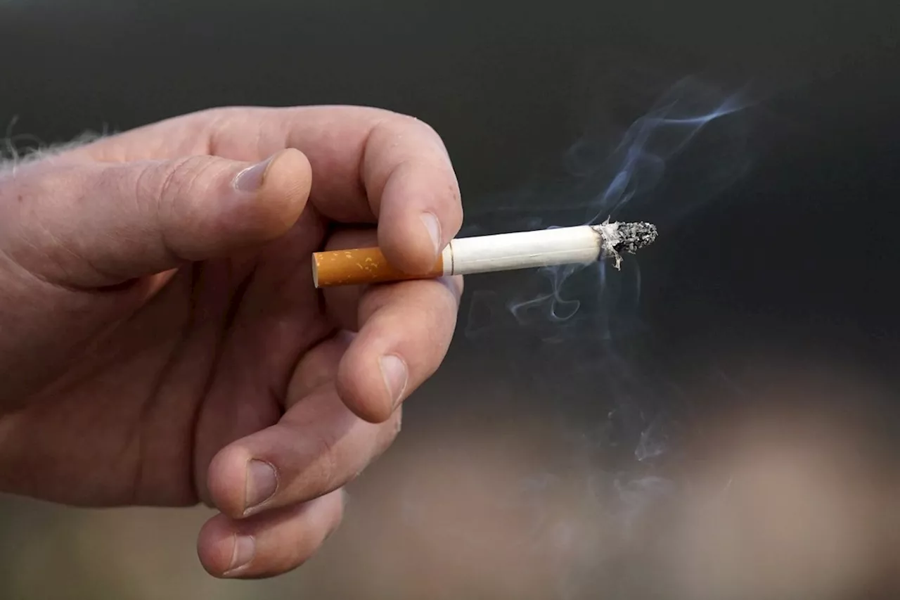 Lawyers in Quebec class actions seek $906M in fees for work in landmark tobacco case