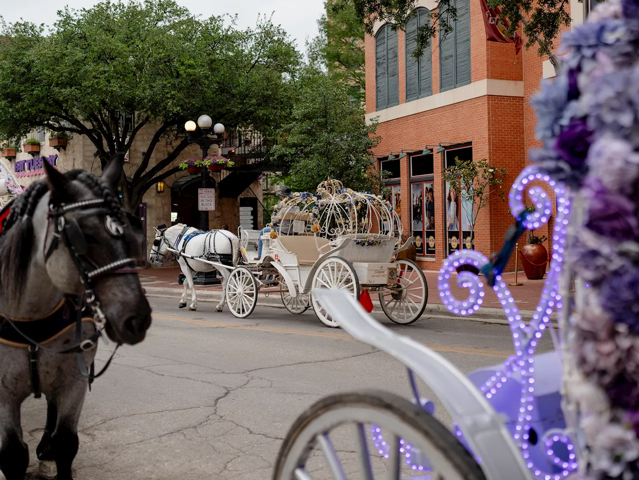 San Antonio becomes first Texas city to ban horse-drawn carriages