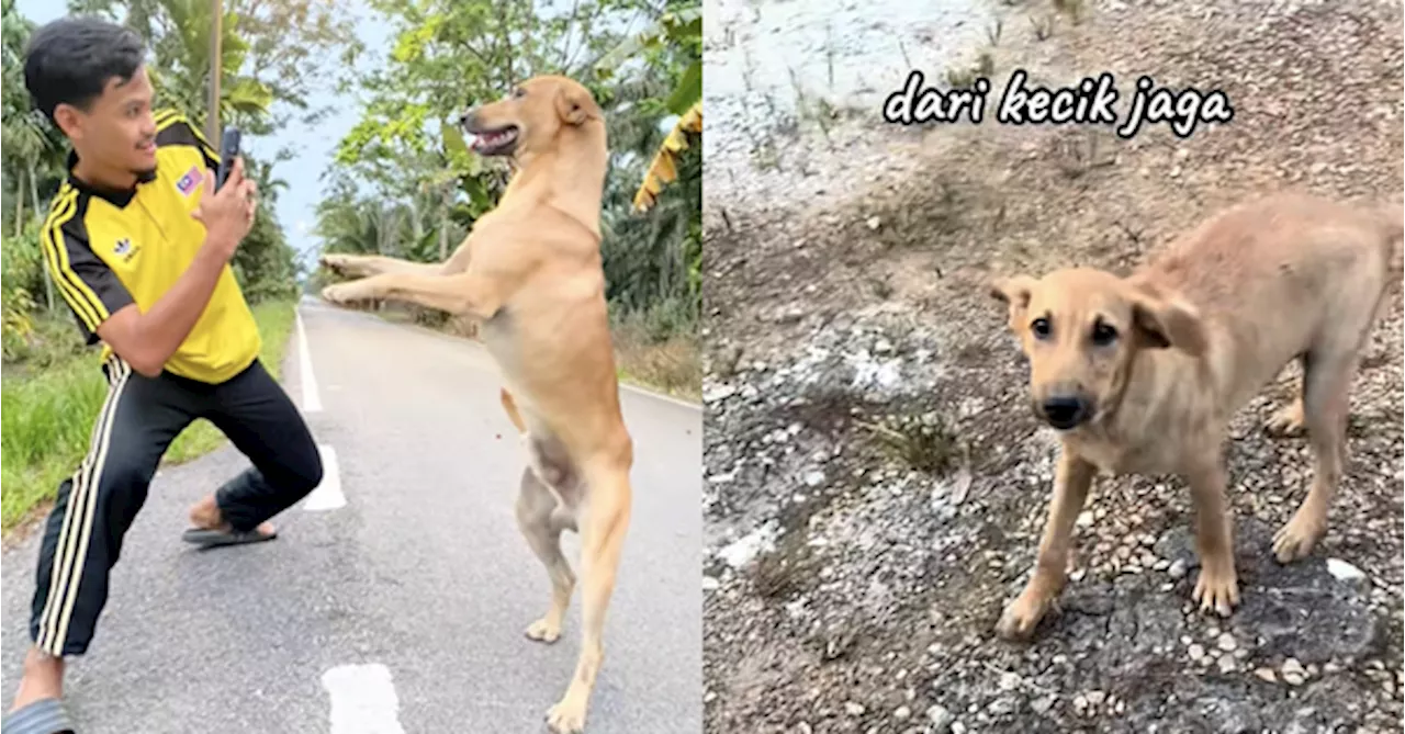 [VIDEO] Man Bids Goodbye To Stray Dog He Cared For As A Puppy Before Moving Away