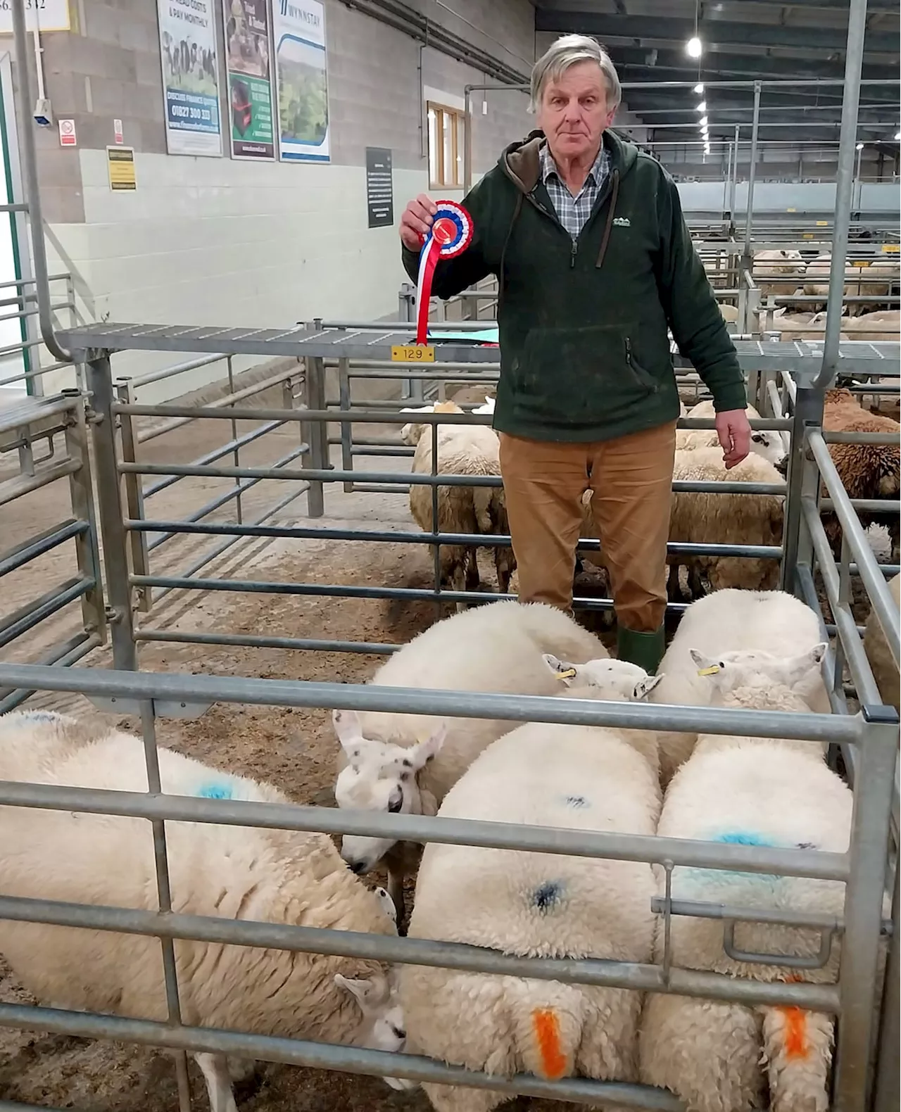 Philip wins champion pen of lambs prize at Shrewsbury auction