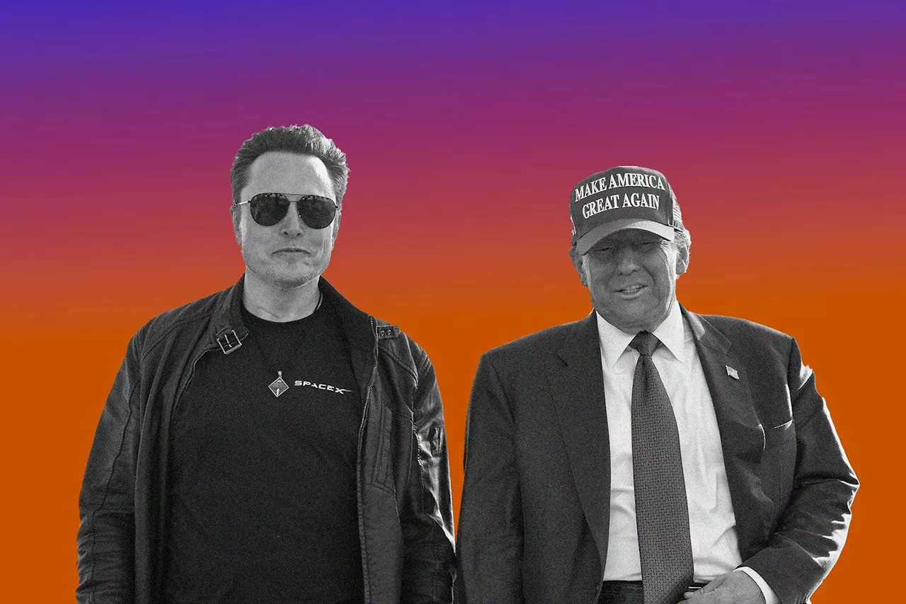 Elon Musk and Trump’s Shadow Transition Team