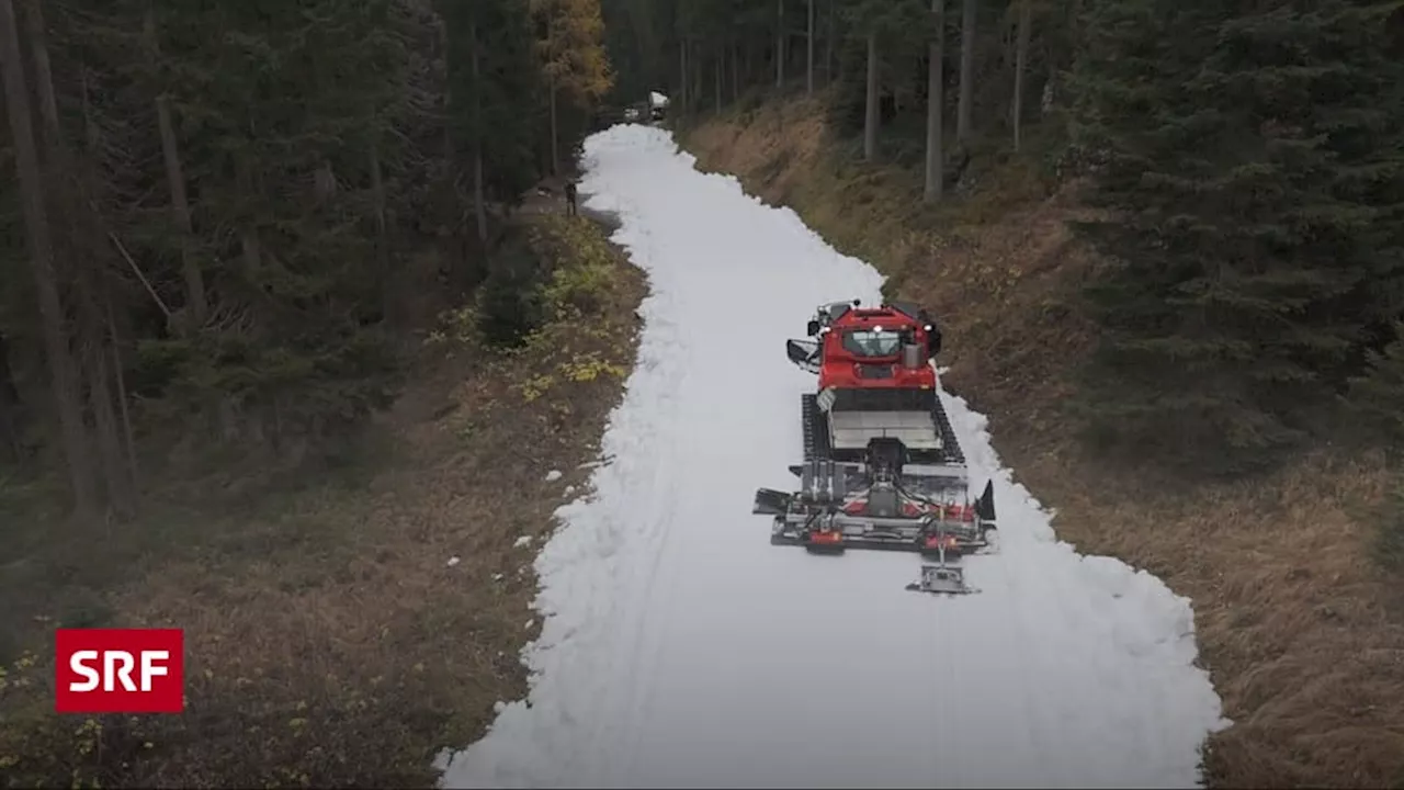 Wie Sägespäne Schnee über den Sommer retten