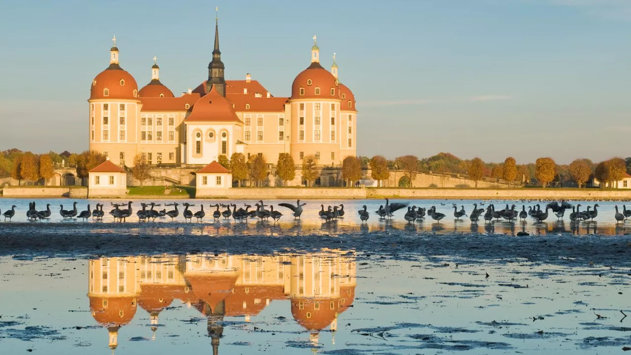 Das sind die beliebtesten Schlösser und Burgen in Deutschland