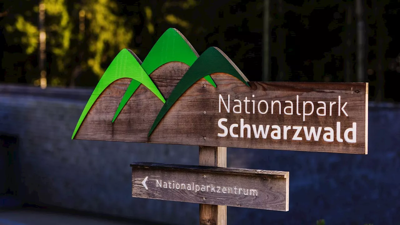 Naturschutz: Ministerin Walker sichert Transparenz bei Nationalpark zu