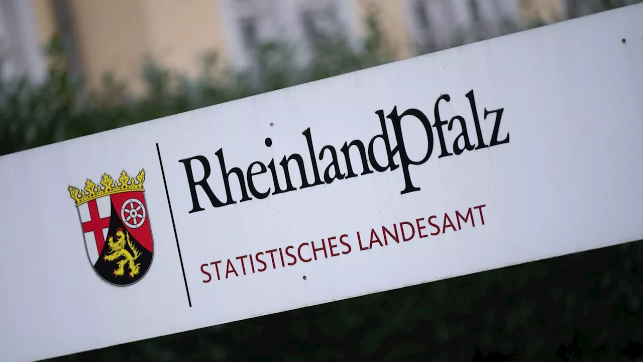 Statistik: Rund 50.000 Syrerinnen und Syrer leben in Rheinland-Pfalz