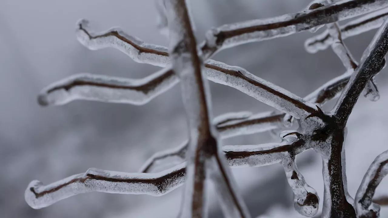 Wetter heute: So wird das Wetter am Freitag