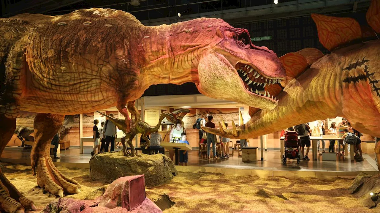 À Bordeaux, toutes les expos de Cap Sciences sont gratuites les 14 et 15 décembre