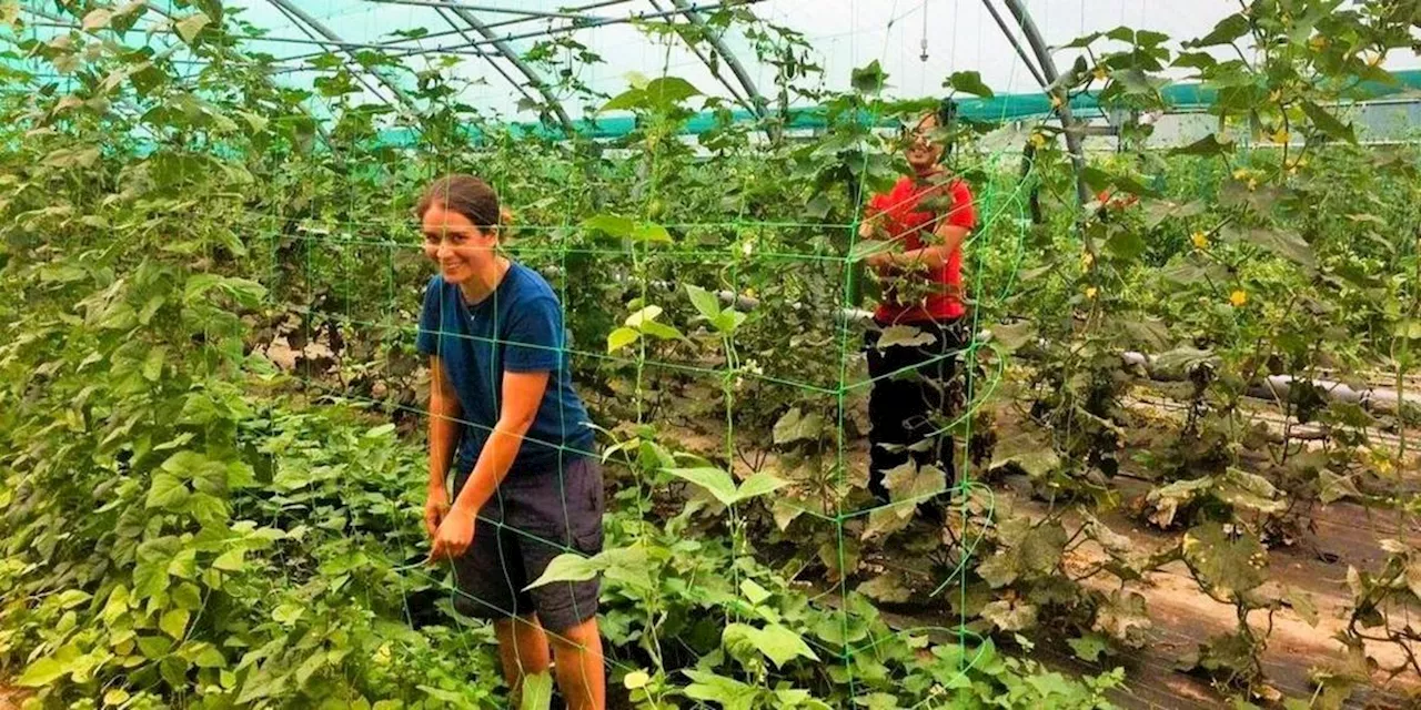 En Haute Gironde, un projet ambitieux vise à revitaliser l’agriculture locale